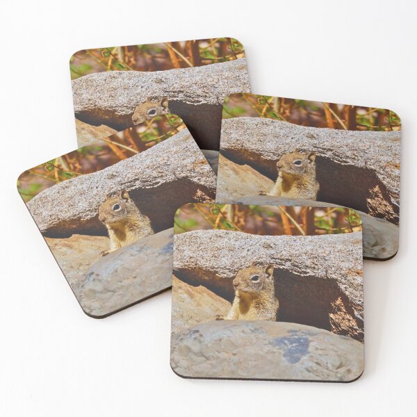 Item preview, Squirrel Hiding in the Rocks designed and sold by Phakade's Photos.