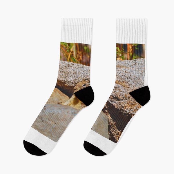 Item preview, Squirrel Hiding in the Rocks designed and sold by Phakade's Photos.