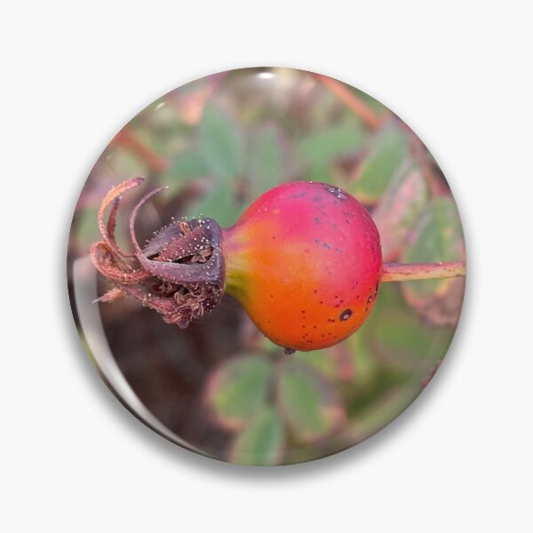 Item preview, Wild Rose Hip in Autumn designed and sold by DesignWerkz.
