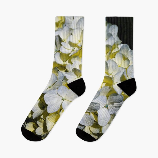 Item preview, Delicacy of hydrangea petals in full bloom designed and sold by franck380.