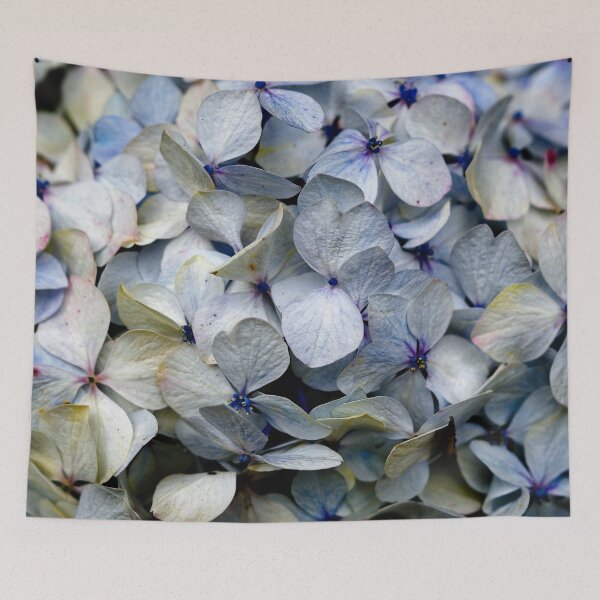 Item preview, Delicacy of hydrangea petals in full bloom designed and sold by franck380.