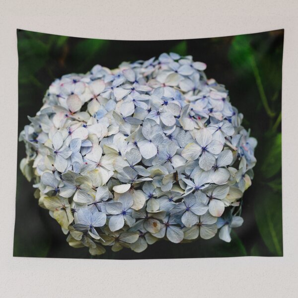 Item preview, Delicacy of hydrangea petals in full bloom designed and sold by franck380.