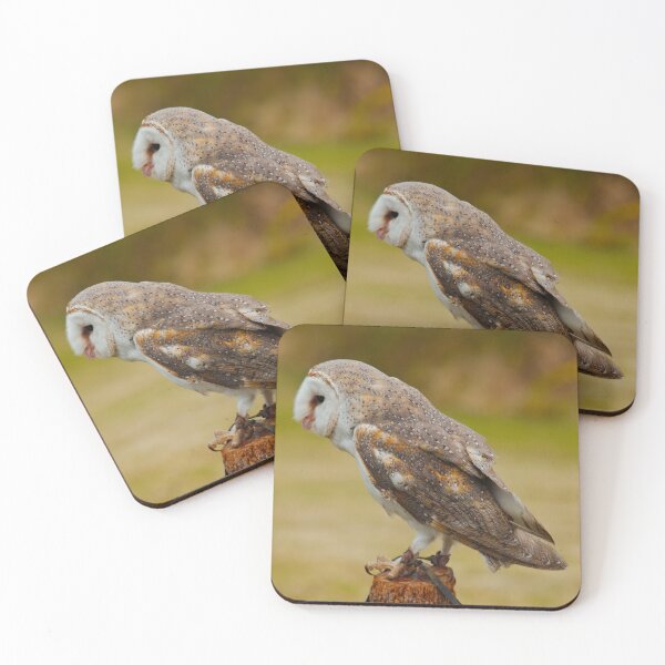 Item preview, NOCTURNAL ~ Barn Owl DJI7FDYG9S5 by David Irwin designed and sold by tasmanianartist.