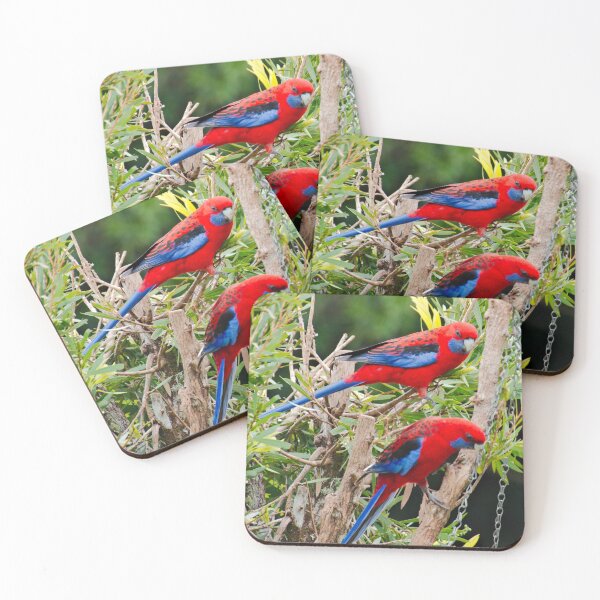 Item preview, PARROT ~ Crimson Rosella DJI4V64LZNK by David Irwin designed and sold by tasmanianartist.