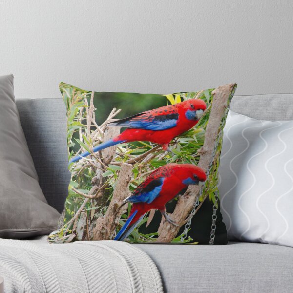 Item preview, PARROT ~ Crimson Rosella DJI4V64LZNK by David Irwin designed and sold by tasmanianartist.