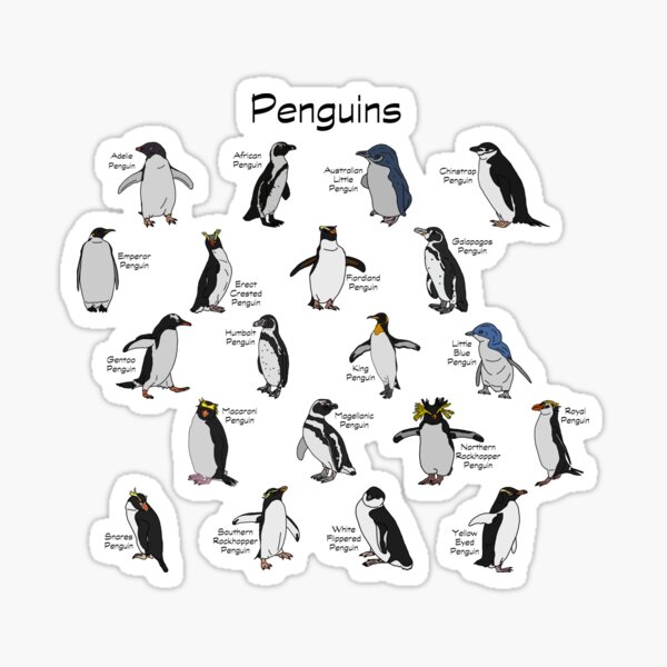 Artikel-Vorschau von Pinguine, designt und verkauft von GraceT26.