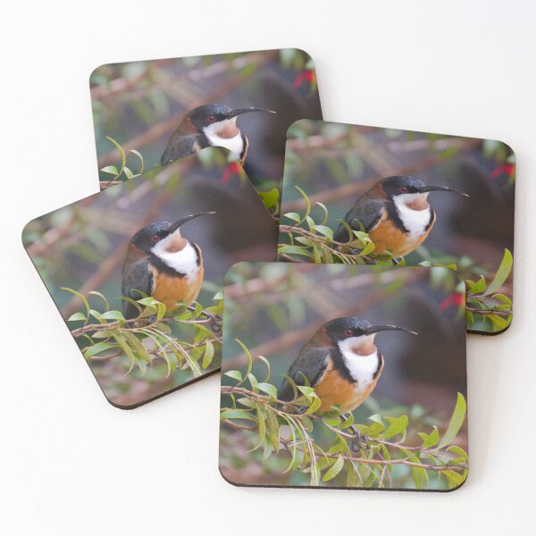 Item preview, HONEYEATER ~ Eastern Spinebill DJI75BWCMHK by David Irwin designed and sold by tasmanianartist.
