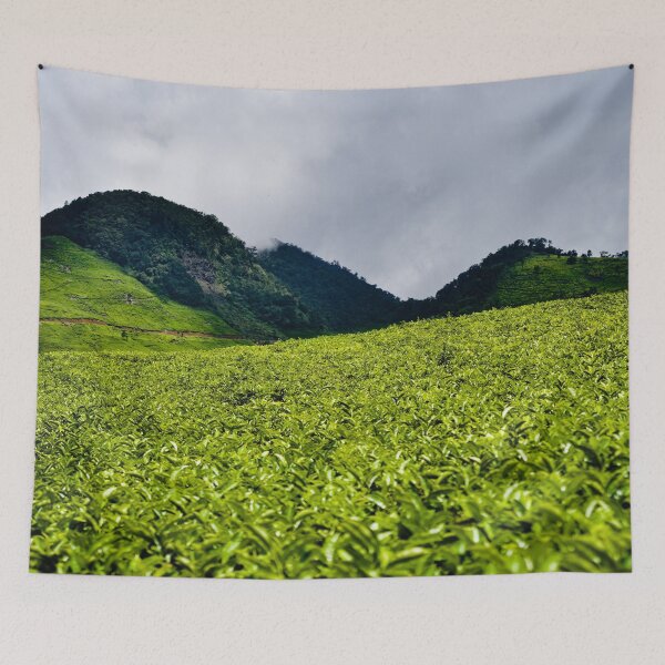 Item preview, Undulating and luminous landscape of the Ciwidey plantations designed and sold by franck380.