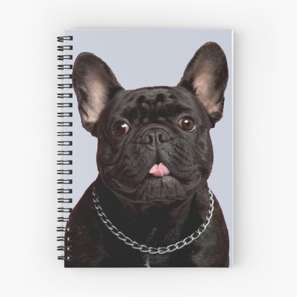 Item preview, Black french Boule Dogue designed and sold by AntoniaDM.