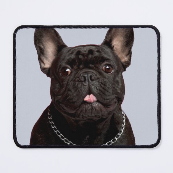 Item preview, Black french Boule Dogue designed and sold by AntoniaDM.