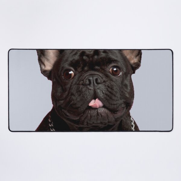 Item preview, Black french Boule Dogue designed and sold by AntoniaDM.