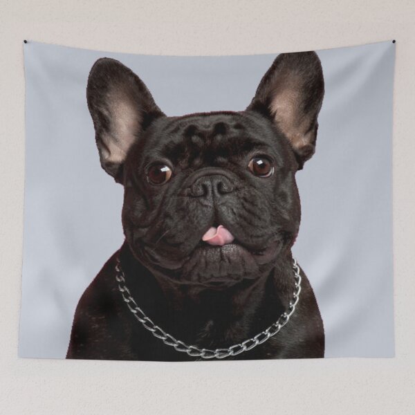 Item preview, Black french Boule Dogue designed and sold by AntoniaDM.