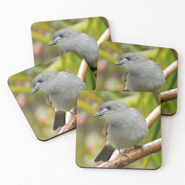 Item preview, SHRIKETHRUSH ~ Grey Shrikethrush DJIJ8ZZM56W by David Irwin designed and sold by tasmanianartist.