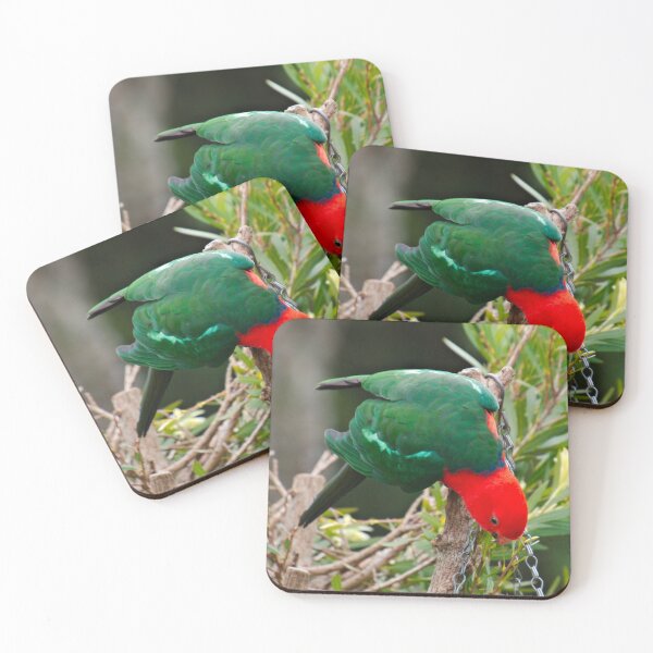Item preview, PARROT ~ King Parrot (f) DJIM4VPA32K by David Irwin designed and sold by tasmanianartist.