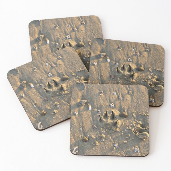 Item preview, Pure beach: Seagulls on a sandy beach designed and sold by newandchange.