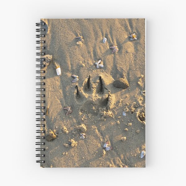 Item preview, Pure beach: Seagulls on a sandy beach designed and sold by newandchange.