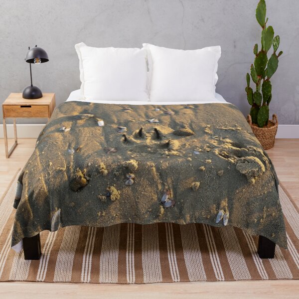 Item preview, Pure beach: Seagulls on a sandy beach designed and sold by newandchange.