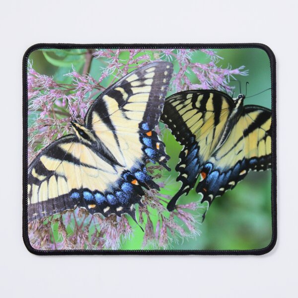 Item preview, Eastern tiger swallowtail designed and sold by Parks and X.