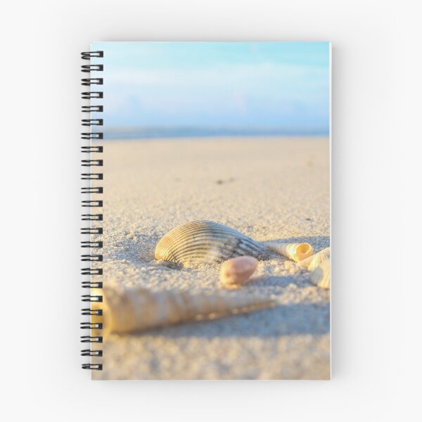 Item preview, Pure Beach Seashells designed and sold by newandchange.
