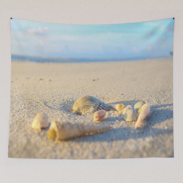 Item preview, Pure Beach Seashells designed and sold by newandchange.