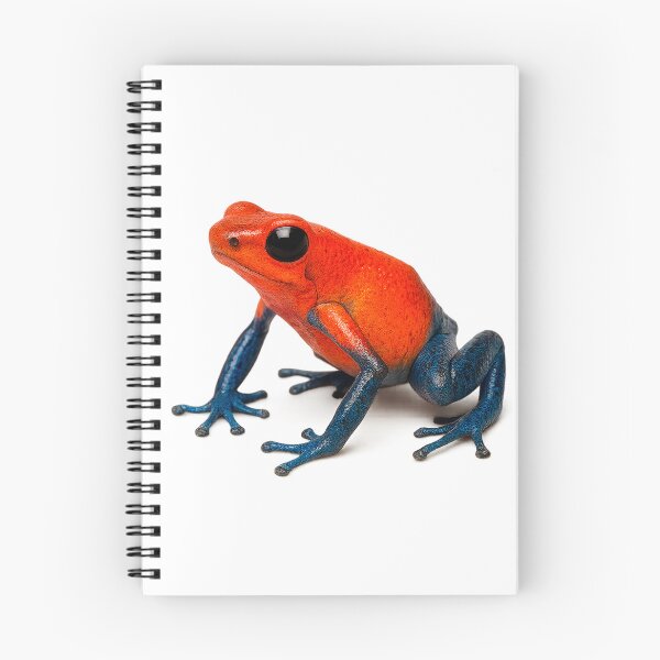 Item preview, vibrant Red-and-Blue poison frog designed and sold by Futured1.