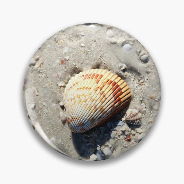 Item preview, Pure Beach: sea shell designed and sold by newandchange.