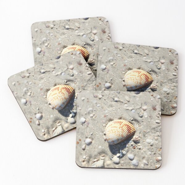 Item preview, Pure Beach: sea shell designed and sold by newandchange.