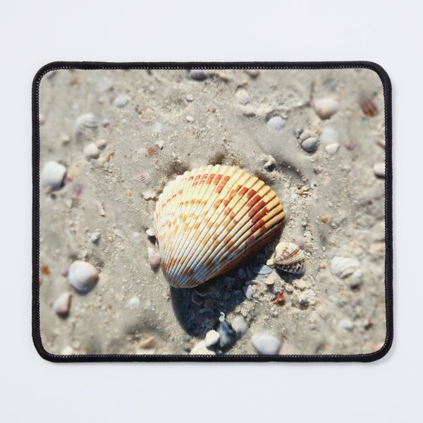 Item preview, Pure Beach: sea shell designed and sold by newandchange.