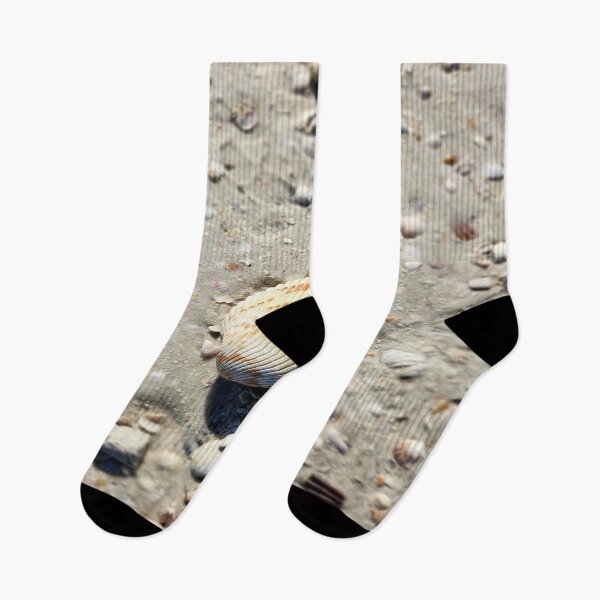 Item preview, Pure Beach: sea shell designed and sold by newandchange.