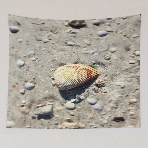 Item preview, Pure Beach: sea shell designed and sold by newandchange.
