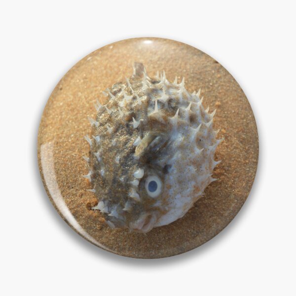 Item preview, Pure beach sea urchin designed and sold by newandchange.