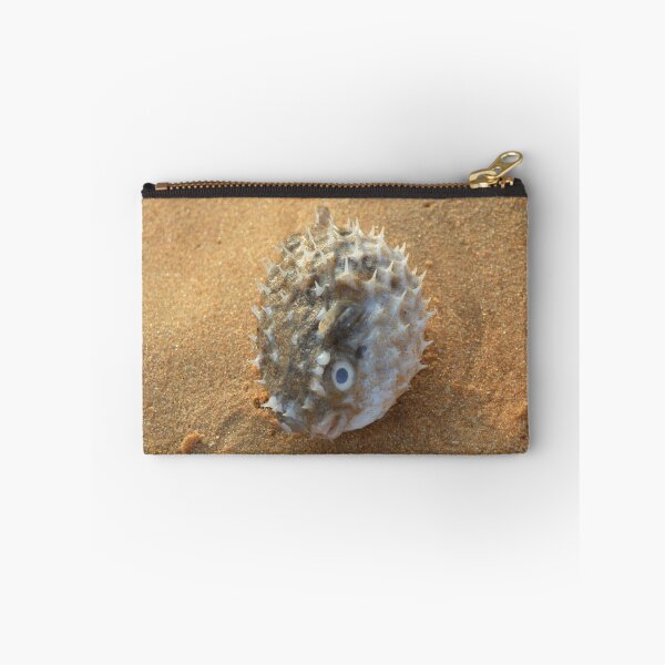 Item preview, Pure beach sea urchin designed and sold by newandchange.