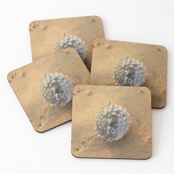 Item preview, Pure beach sea urchin designed and sold by newandchange.