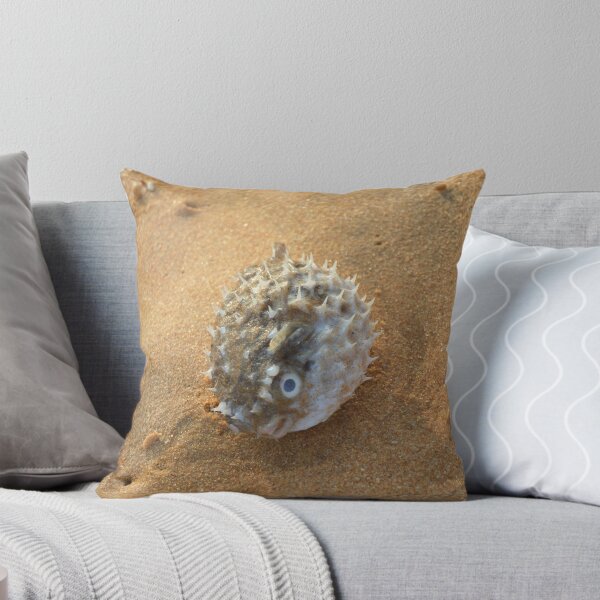 Item preview, Pure beach sea urchin designed and sold by newandchange.