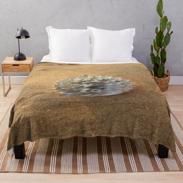 Item preview, Pure beach sea urchin designed and sold by newandchange.