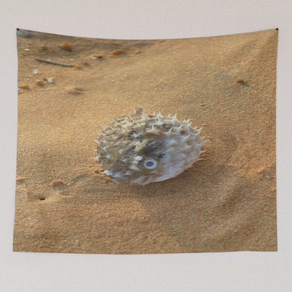 Item preview, Pure beach sea urchin designed and sold by newandchange.