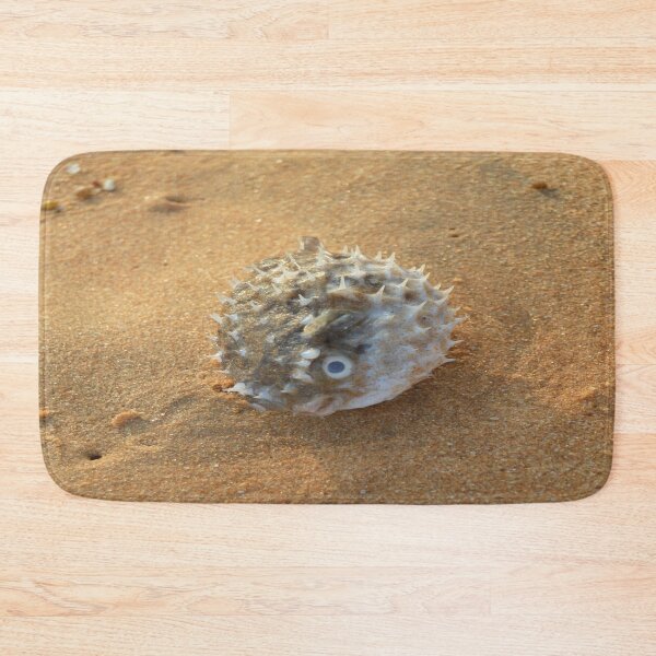 Item preview, Pure beach sea urchin designed and sold by newandchange.