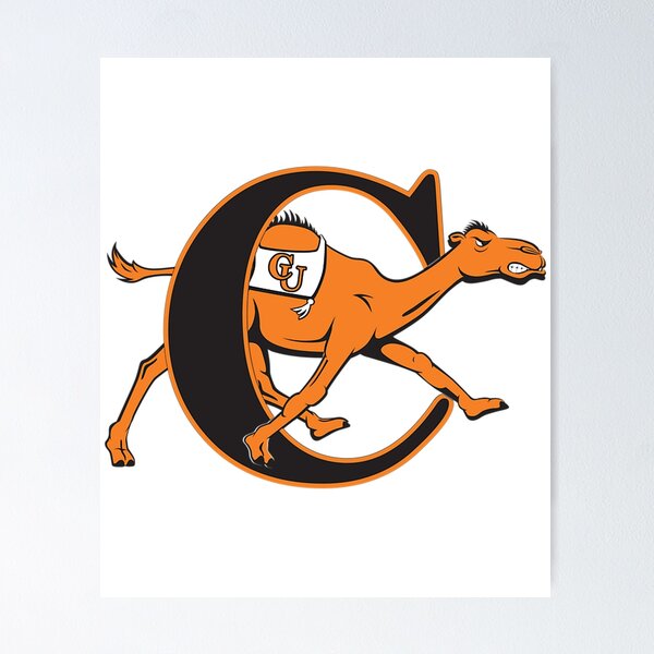 Item preview, Camels Logo designed and sold by Cordiaindgren.