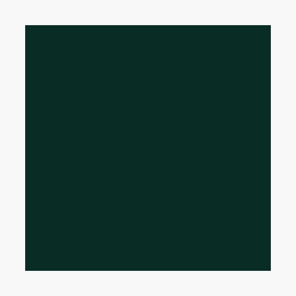 Item preview, Deep Forest Solid Color designed and sold by Moonshine Paradise.