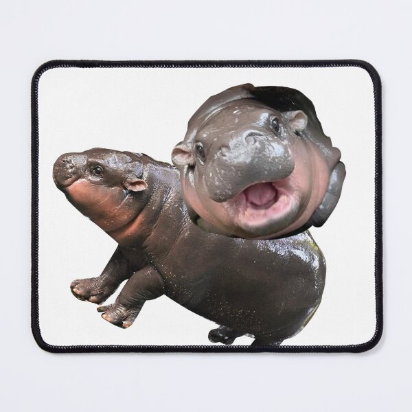 Item preview, moo deng time !! designed and sold by is4bxlle.