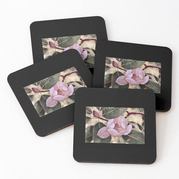 Item preview, Sweet Bay Magnolia After The Rain Classic 		 designed and sold by ekjklmfqpq69.