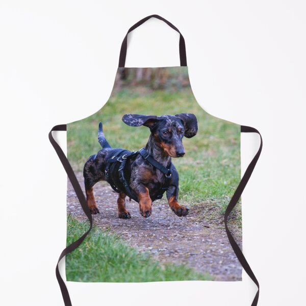 Item preview, Dachshund Dog having Fun Running designed and sold by VanGaldo.