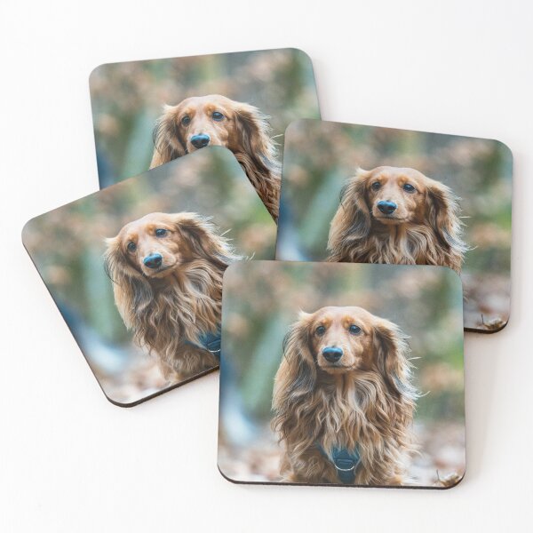 Item preview, Lovely Long Haired Dachshund Dog designed and sold by VanGaldo.