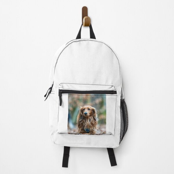 Aperçu de l'œuvre Adorable chien teckel à poil long créée et vendue par VanGaldo.