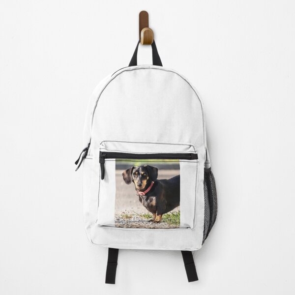 Item preview, Dachshund Dog Looking Beautiful designed and sold by VanGaldo.