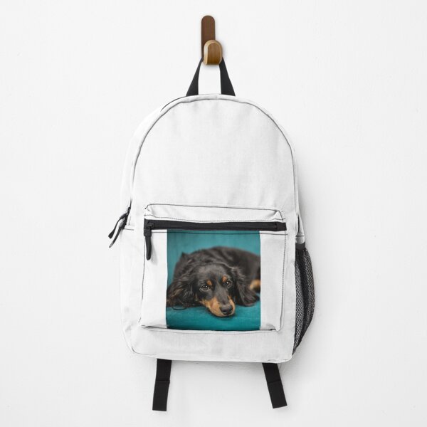 Aperçu de l'œuvre Beau chien teckel endormi créée et vendue par VanGaldo.