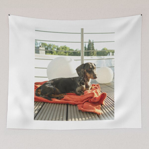 Item preview, Adorable Dachshund Dog Relaxing designed and sold by VanGaldo.