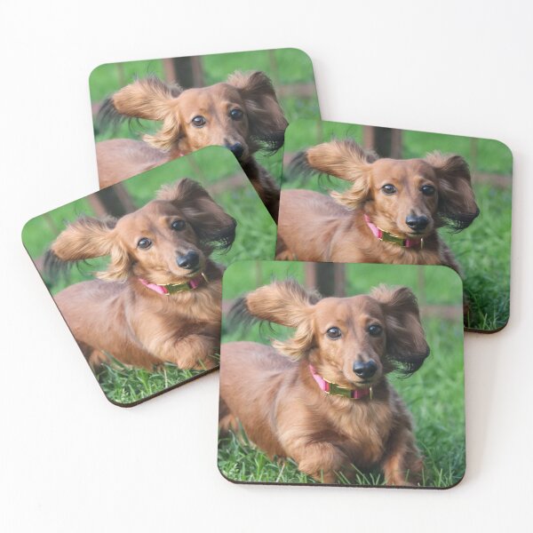 Item preview, Cute Dachshund Loves Running designed and sold by VanGaldo.