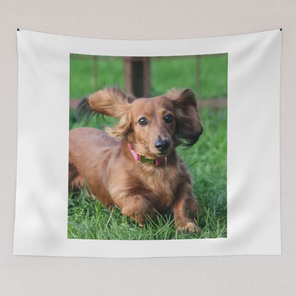 Item preview, Cute Dachshund Loves Running designed and sold by VanGaldo.