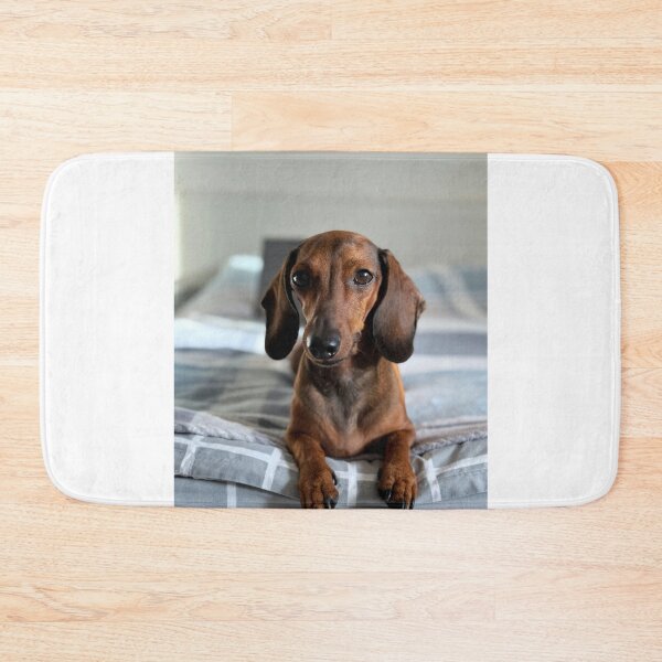 Item preview, Beautiful Dachshund Dog on the Bed designed and sold by VanGaldo.